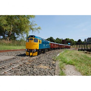 Class 33 Loco